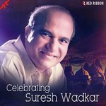 Celebrating Suresh Wadkar - Jitu Song Download
